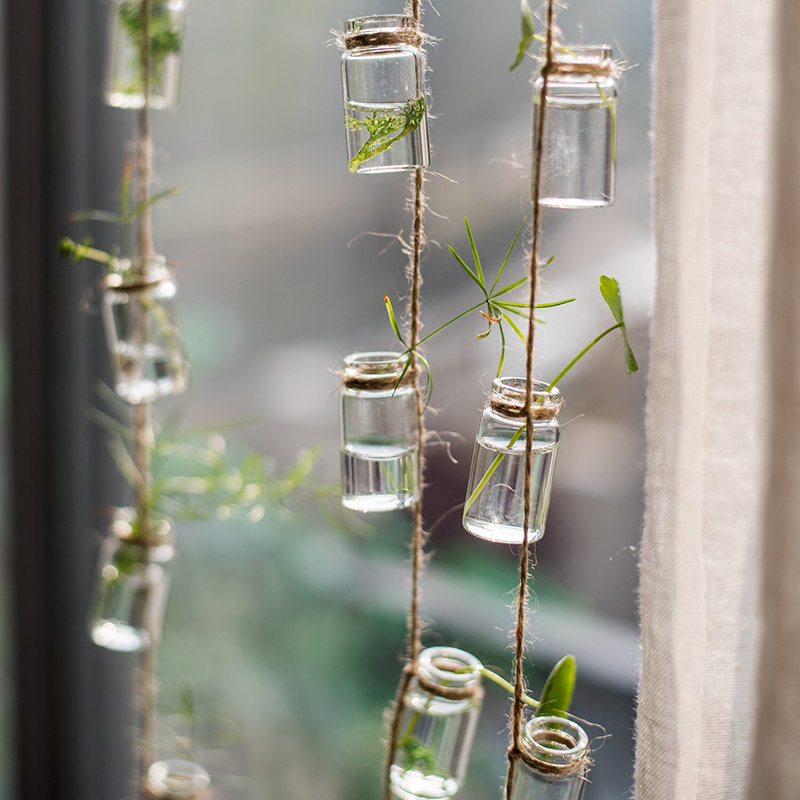 August Grove® Frazee Rustic Rope Glass Hanging Planter & Reviews Wayfair