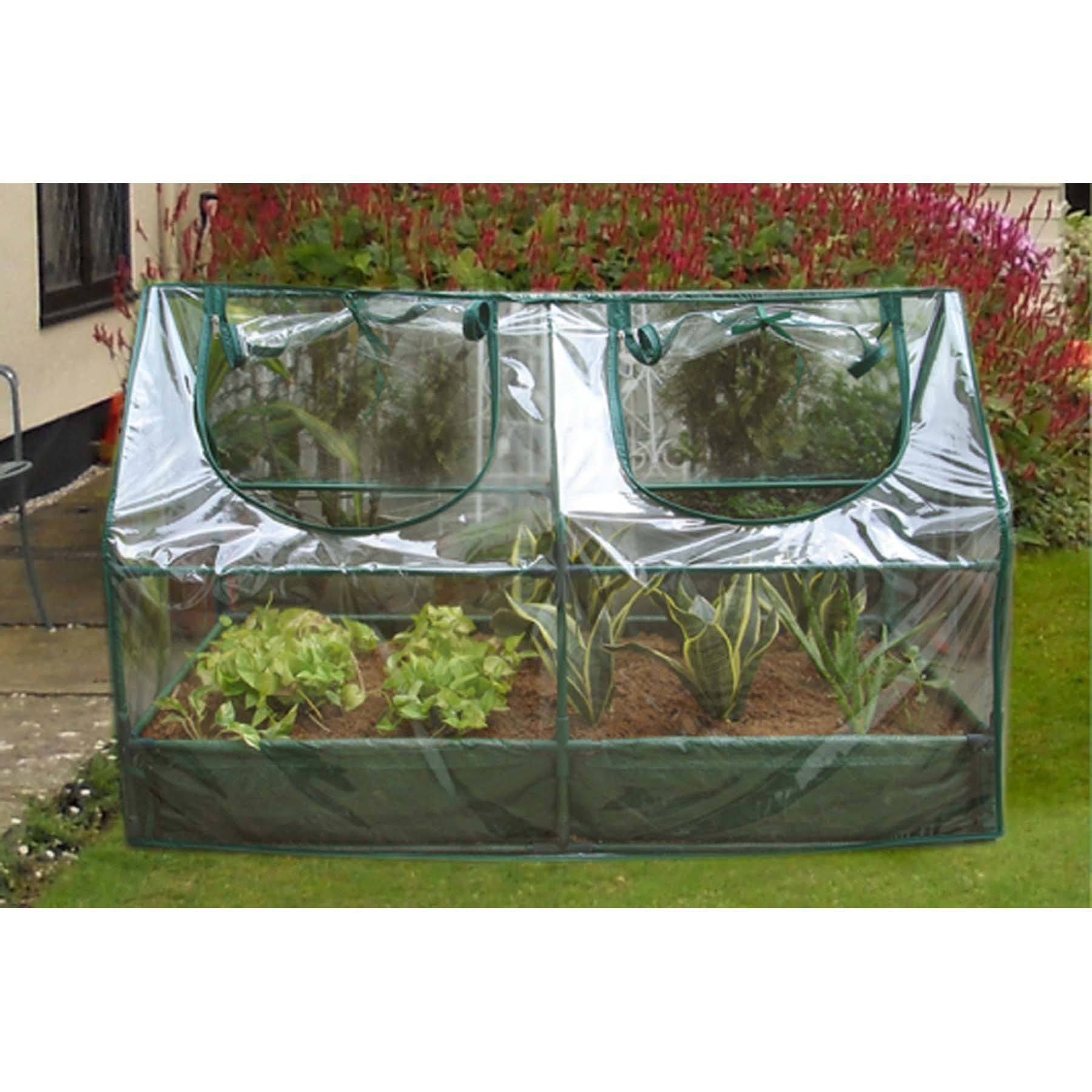 Zenport 48' W x 24' D Cold Frame & Reviews Wayfair