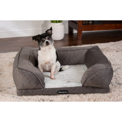 simmons beautyrest pet colossal rest extra large orthopedic dog bed