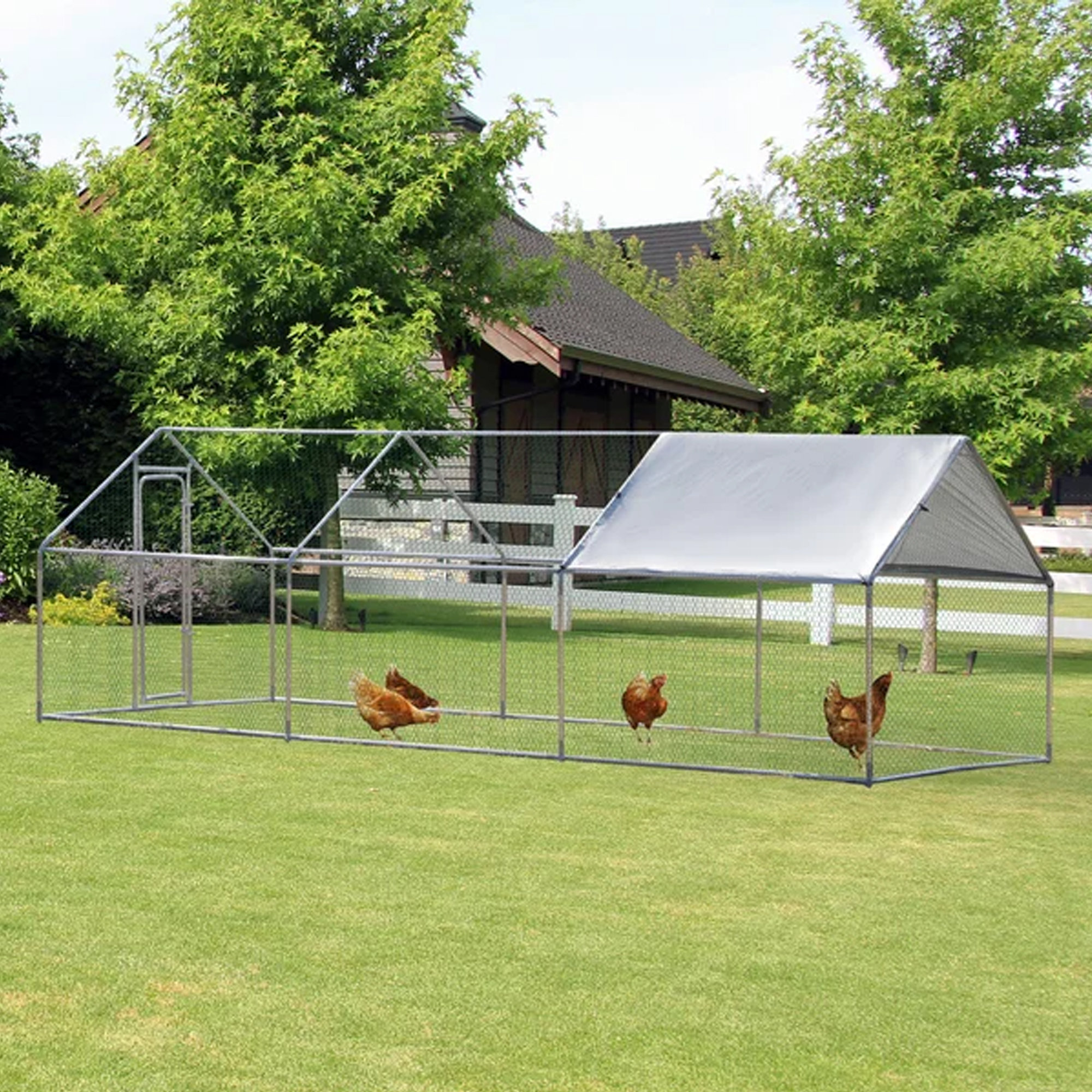 Chicken Coops At Wayfair at Tracy Helms blog