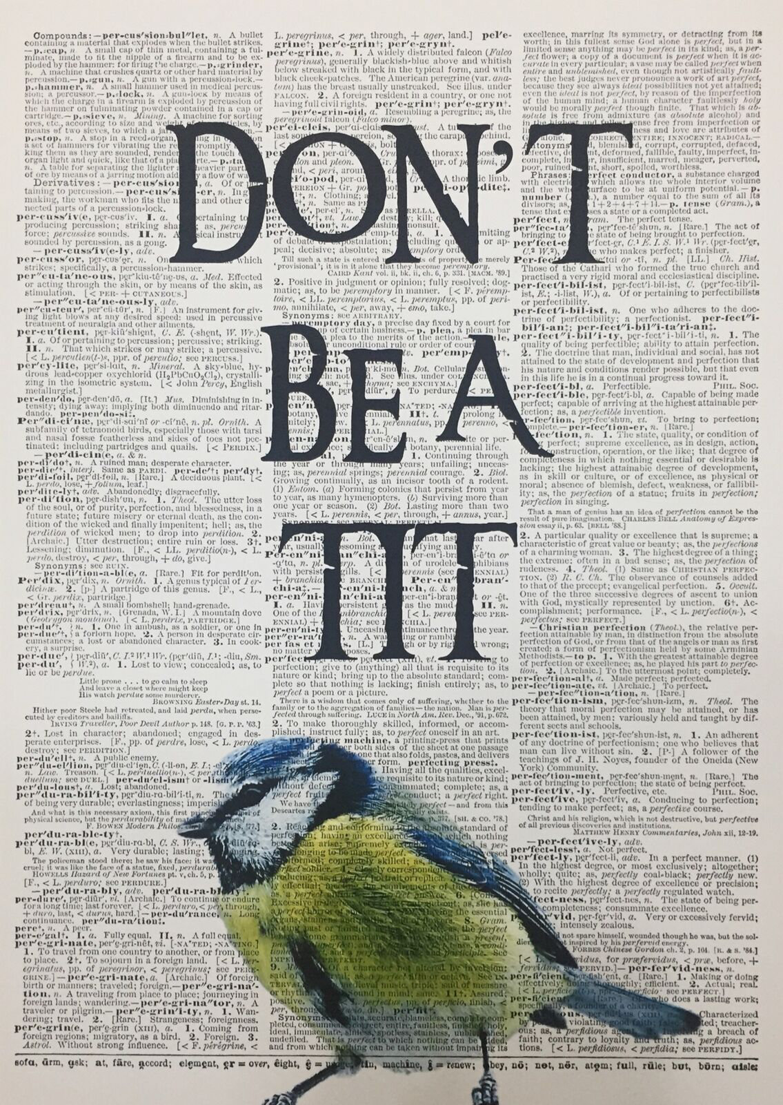 Maturi A3 Funny Bird Dictionary Wall Art Print Bird Wall Art Pun Print Funny  Animal Quote Don't Be A Tit 