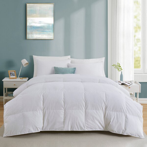 200 GSM Down Alternative Comforter Egyptian Cotton Aqua Blue Striped King Size 