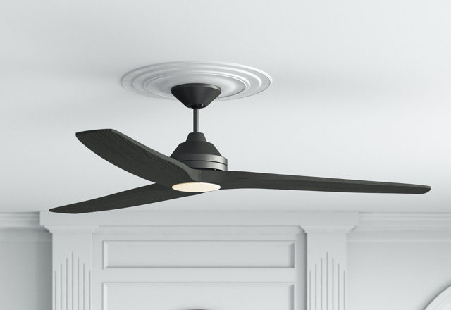 In-Demand Ceiling Fans