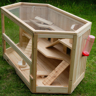 Axtell Cage with Ramp