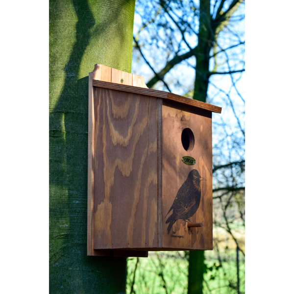 Dobar® Nistkasten Für Höhlenbrüter - Eichelform Aus FSC-Kiefernholz Mit Rindendach Für Kohlmeisen & Spatzen