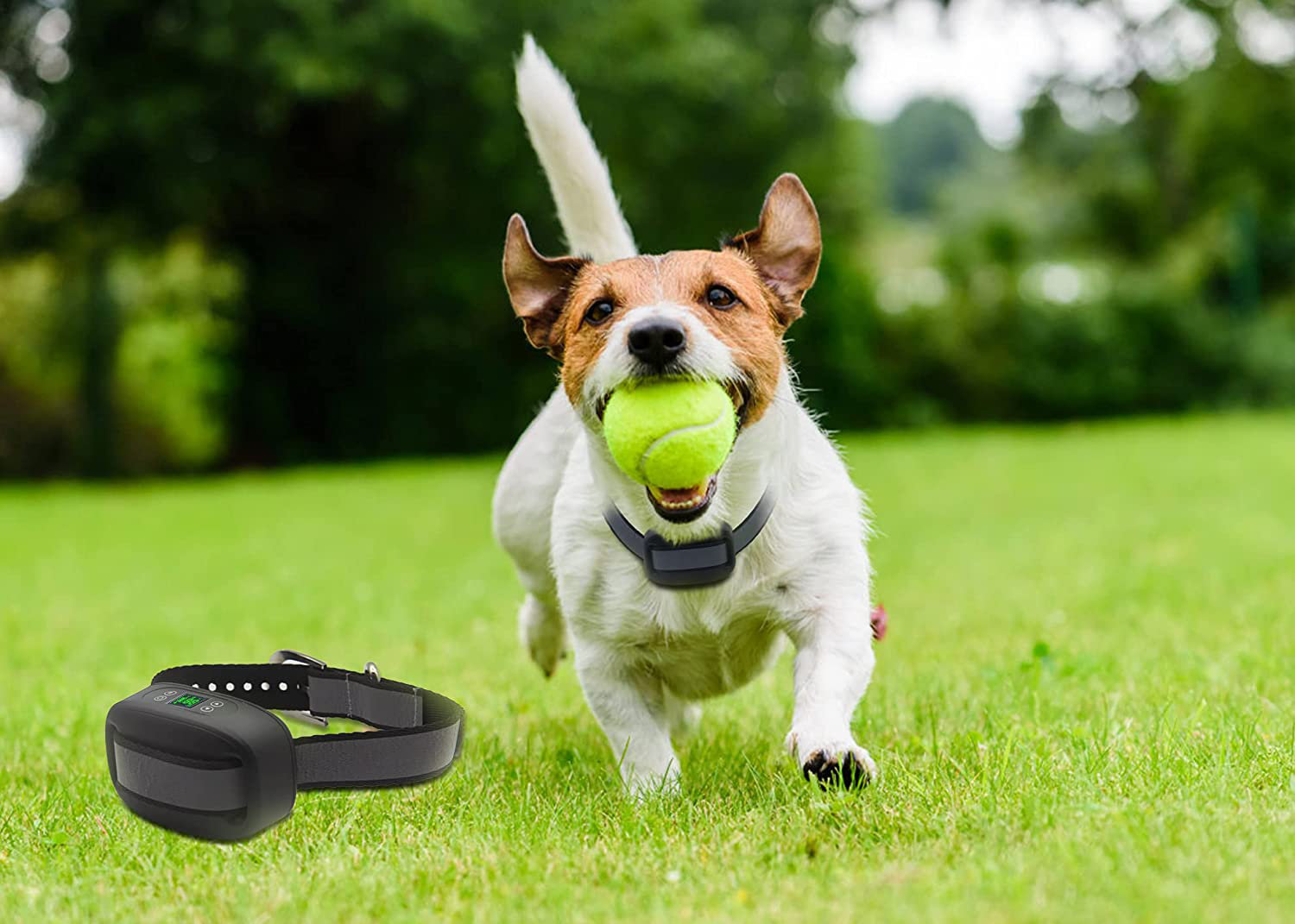 Pet simple. Petsafe Wireless Containment System.
