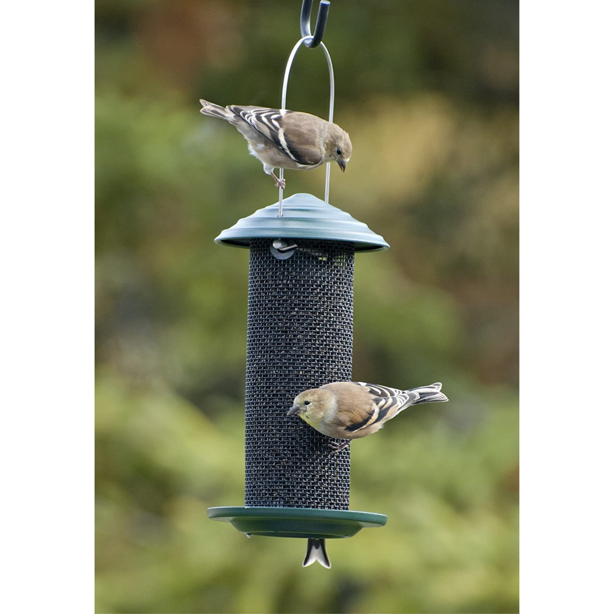 Woodlink Mini Magnum Thistle Bird Feeder | Wayfair