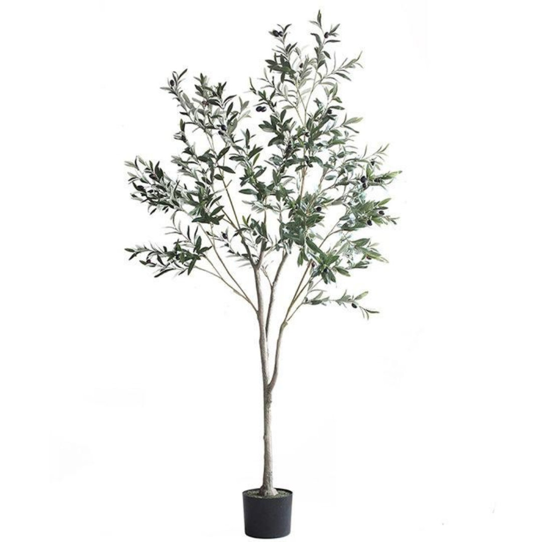 Primrue 6'' Faux Olive Tree in Pot Wayfair