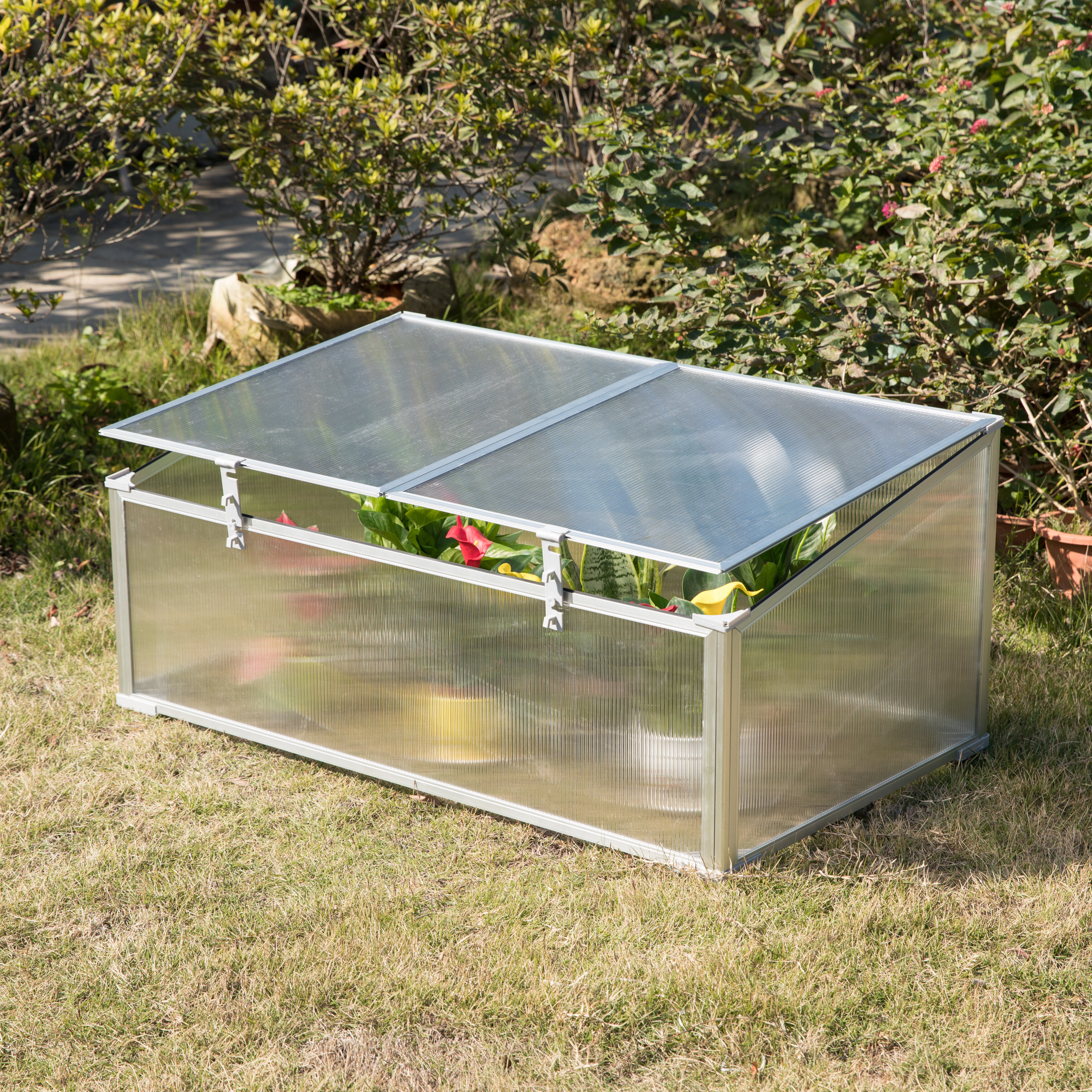 Maladroit Appel til at være attraktiv sød smag Gardenised 47.05" W x 20.58" D Mini Greenhouse | Wayfair