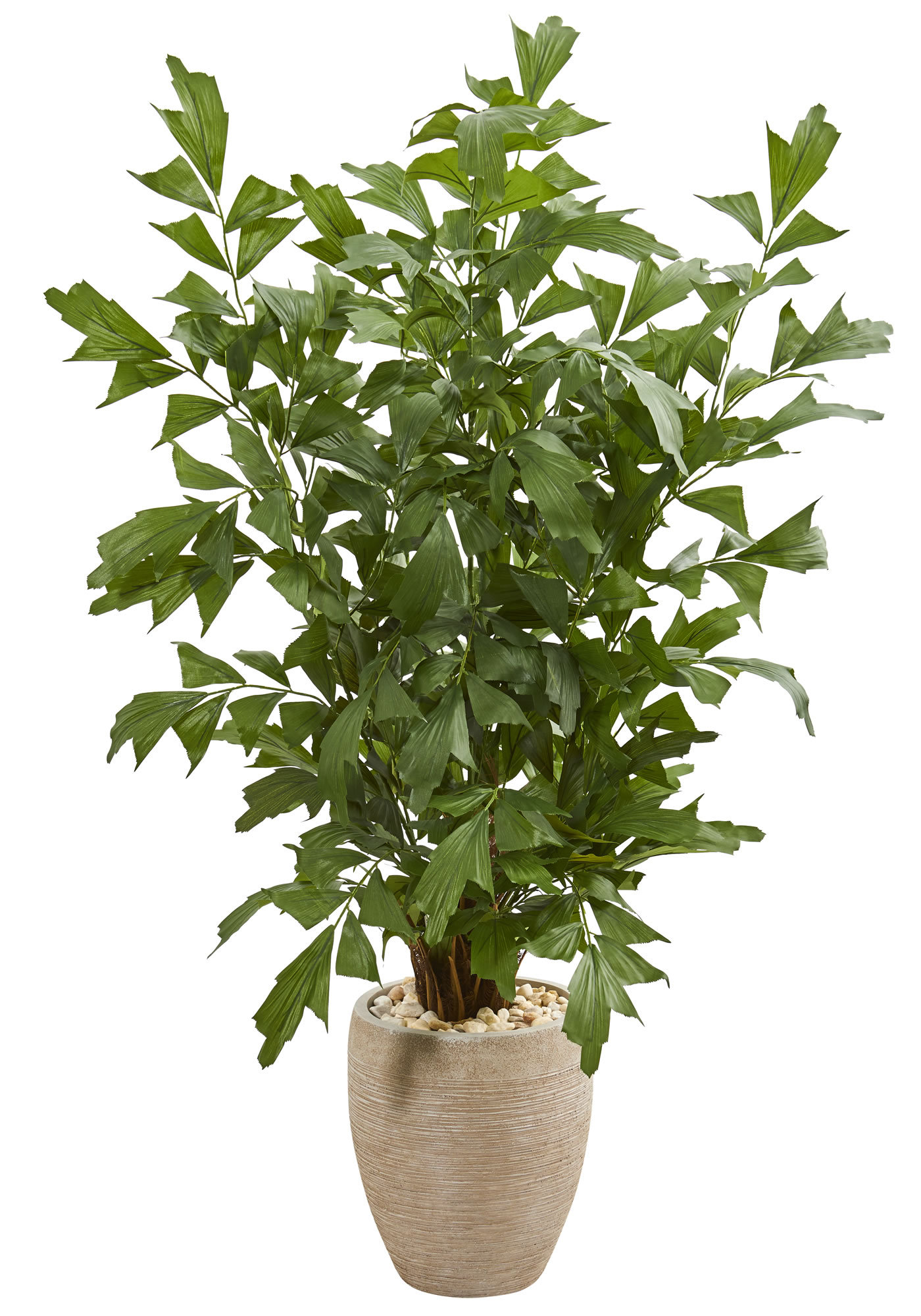 Ivy Bronx 60'' Faux Palm Tree in Ceramic Planter & Reviews Wayfair