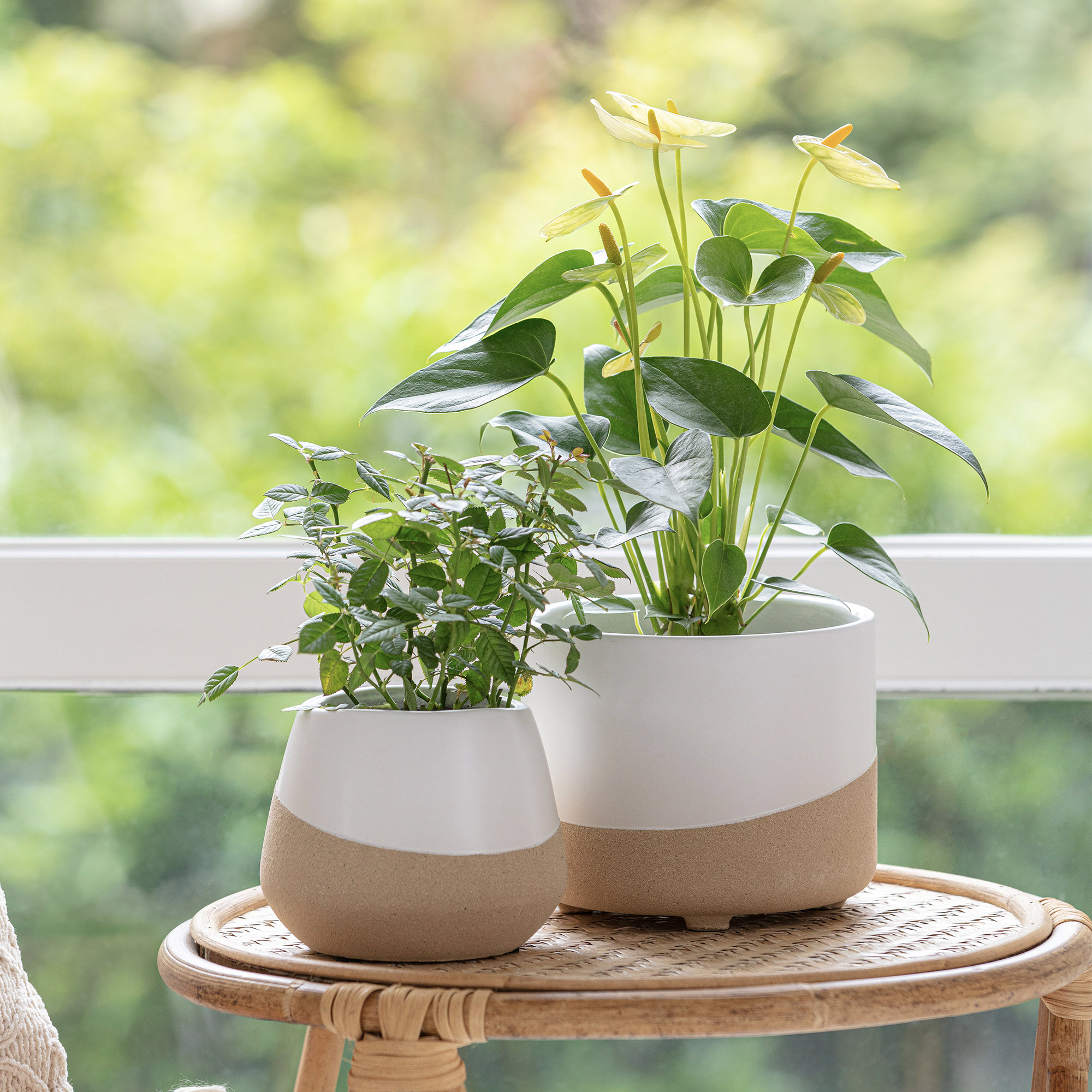 [BIG SALE] BestSelling Outdoor Planters You’ll Love In 2023 Wayfair