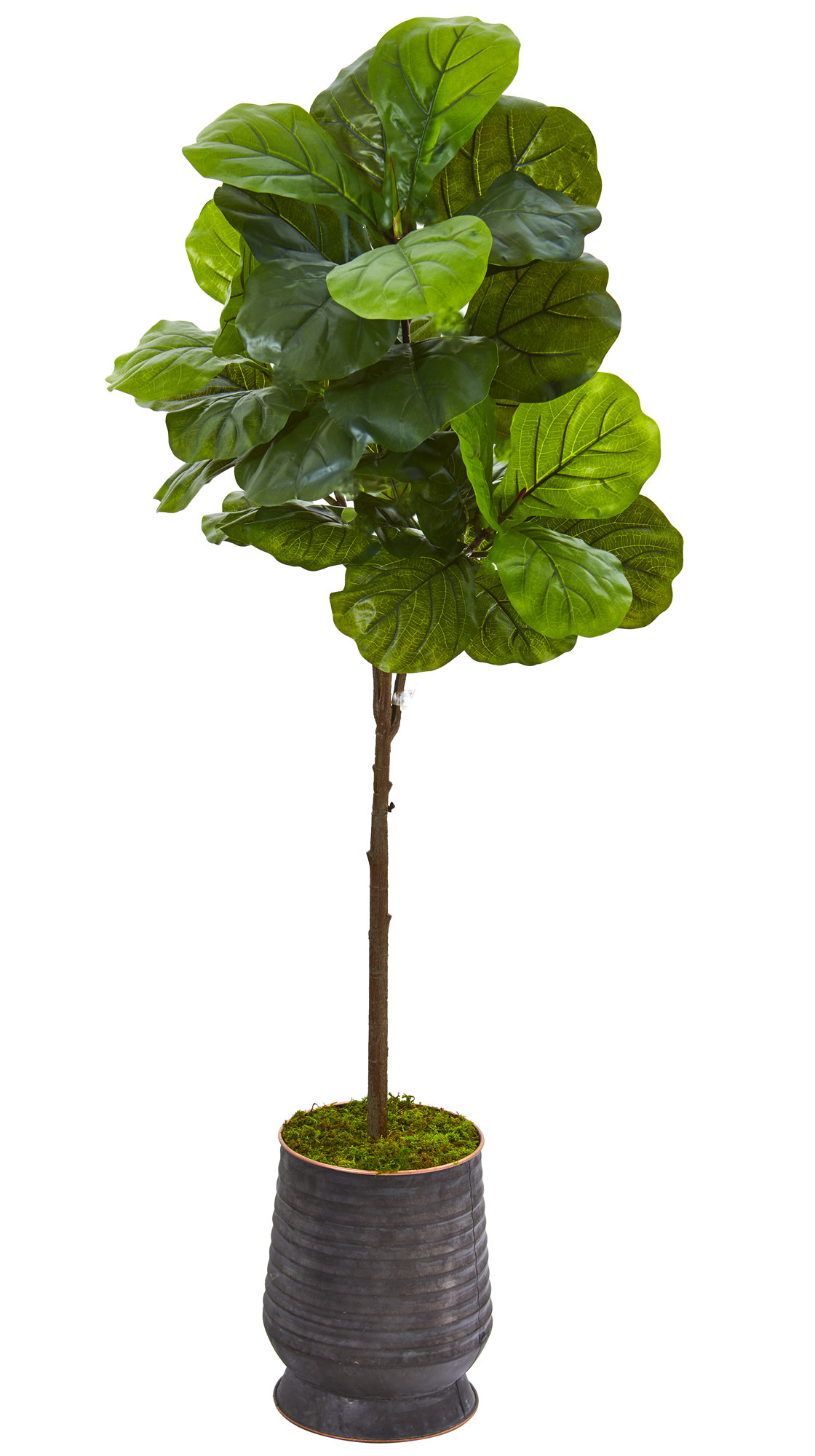 Gracie Oaks Artificial Fiddle Leaf Fig Tree in Planter Wayfair