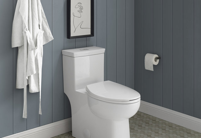 Must-Have Comfort-Height Toilets