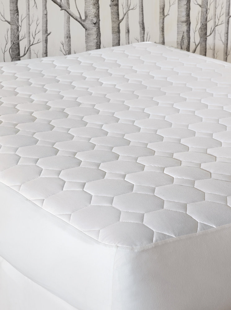 Eastern Accents Hartley Cotton Mattress Pad & Reviews Wayfair