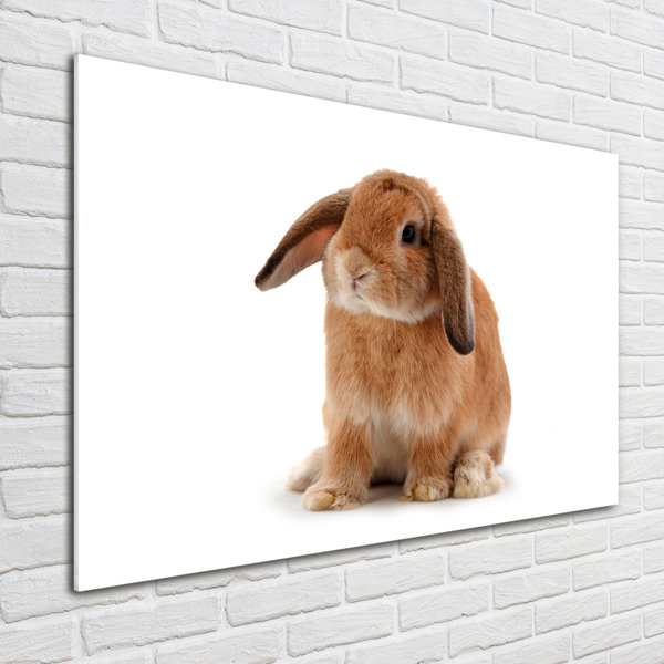 Ebern Designs Red-Haired Rabbit - Unframed Art Prints on Glass ...