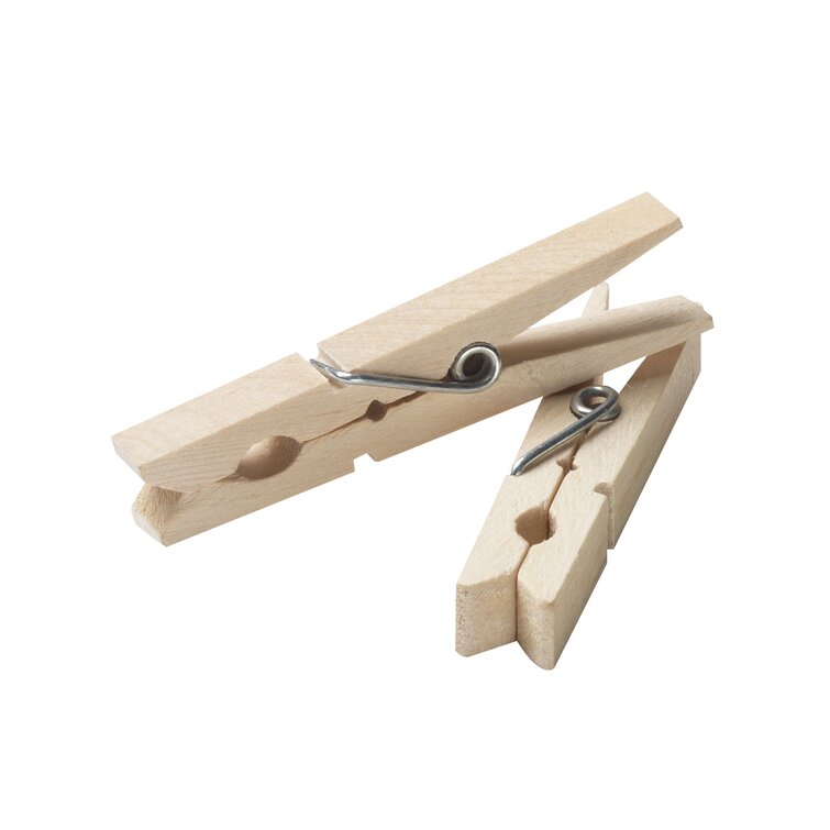 Specifically See insects Botanist Household Essentials Wood Clothes Pin & Reviews | Wayfair