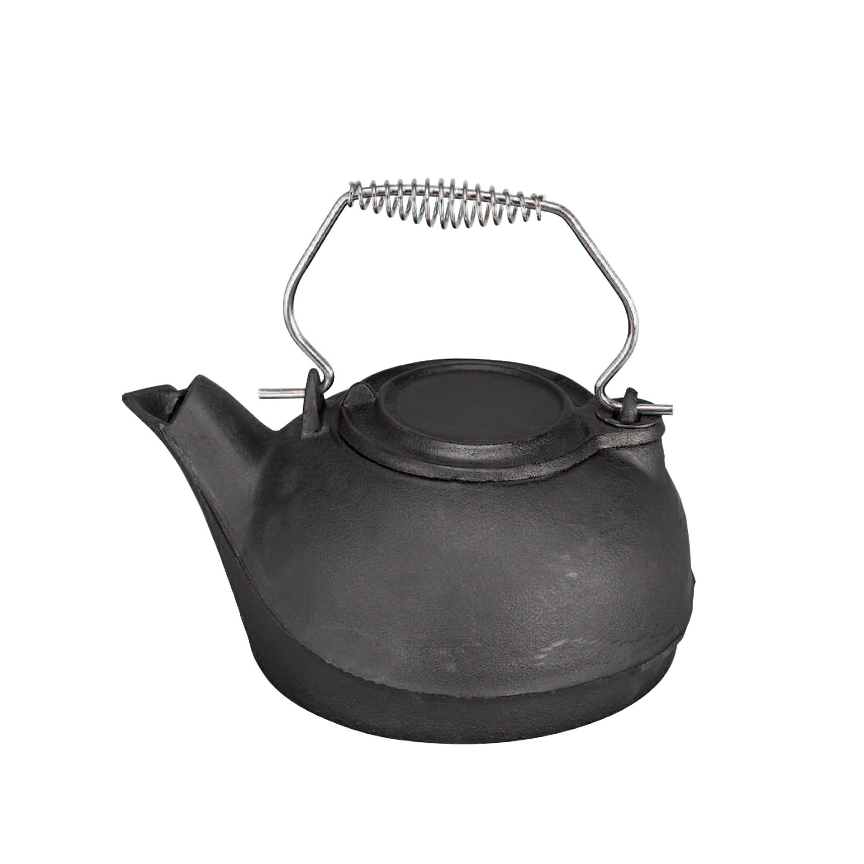 August Grove® Daily 3 Qt. Cast Iron Kettle Steamer & Reviews Wayfair