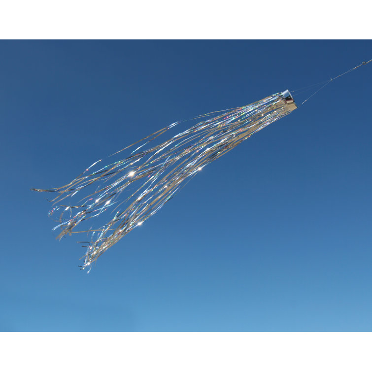 Arlmont & Co. Silver Holographic Windsock | Wayfair