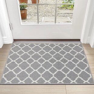 Kitchen Rugs,OFamily Door Rugs with Rubber Backing Non Slip Microfiber Doormat Small Entry Rugs Inside Carpet,19.7-Inch By 31.5-Inch 