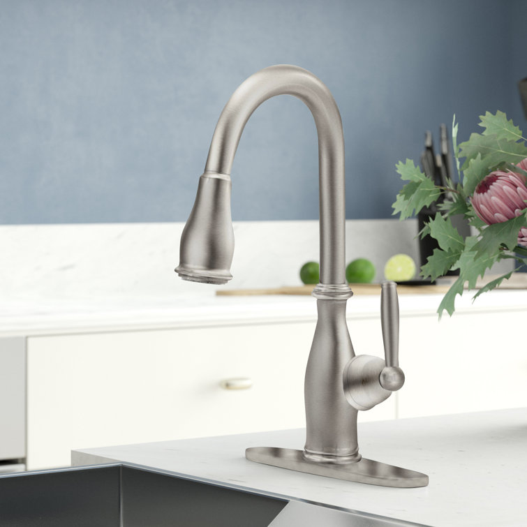 Brantford moen kitchen faucet