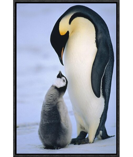 Details about   Emperor Penguin With Baby Chick Figurine Resin 3.75" High New! 
