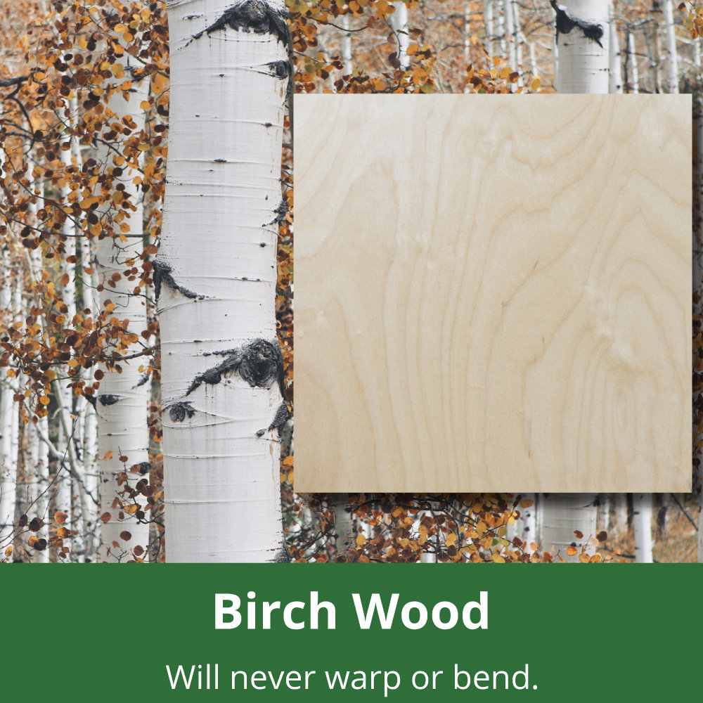 Wood Designs Contender 12" Wide Cubby Locker & Reviews - Wayfair Canada