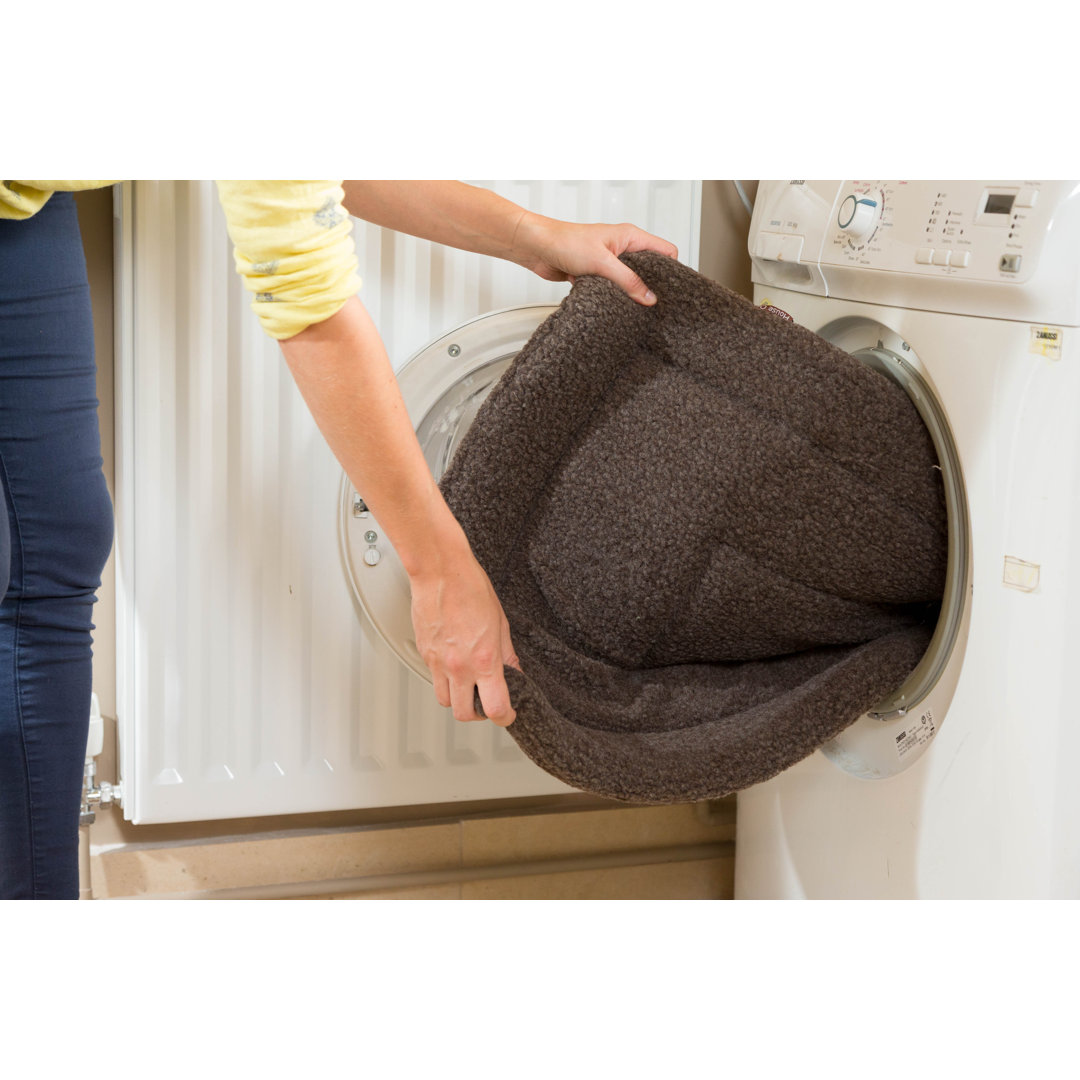 Archie & Oscar Hundedecke Finian