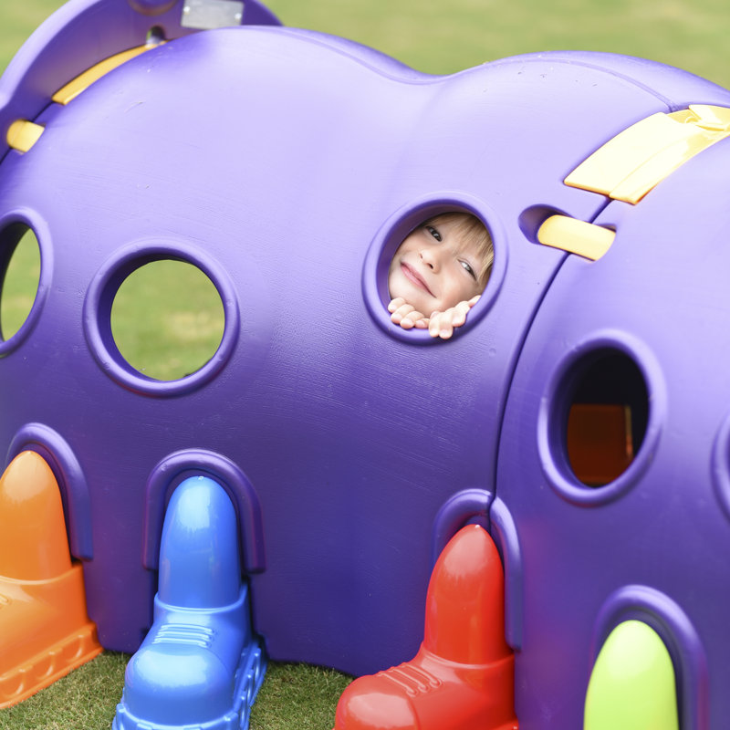 ECR4Kids Happy Caterpillar Tunnel Playground & Reviews - Wayfair Canada