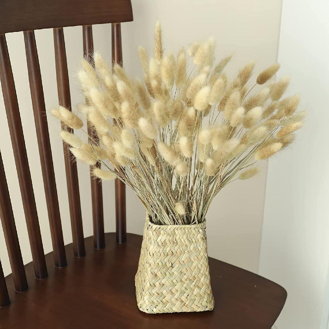 Material Dried Flowers Bouquets Bunny Tails Lagurus Ovatus Rabbit Tail Grass 
