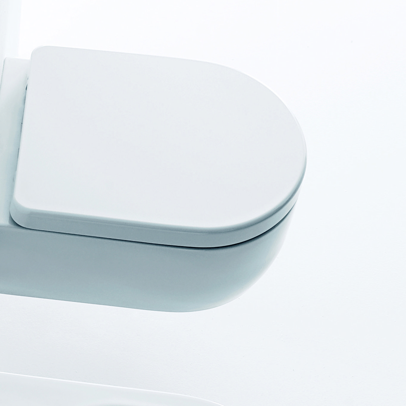 WS Bath Collections Kerasan Elongated Toilet Seat Wayfair