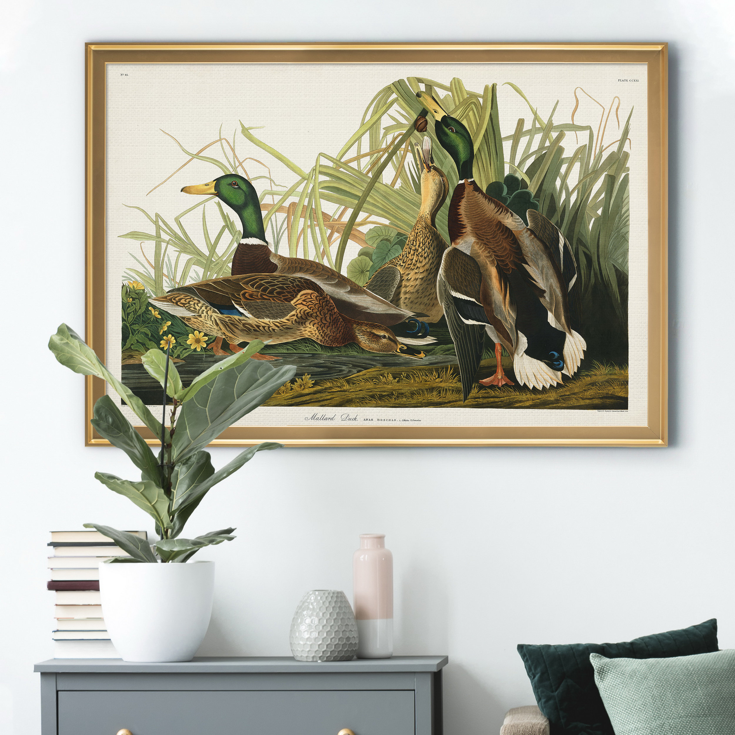 August Grove® Mallard Duck - Picture Frame Print on Canvas | Wayfair