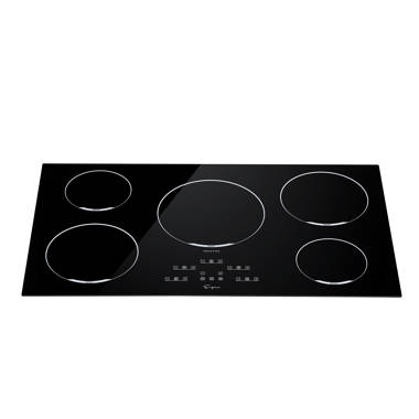 2 burner cooktop 110v