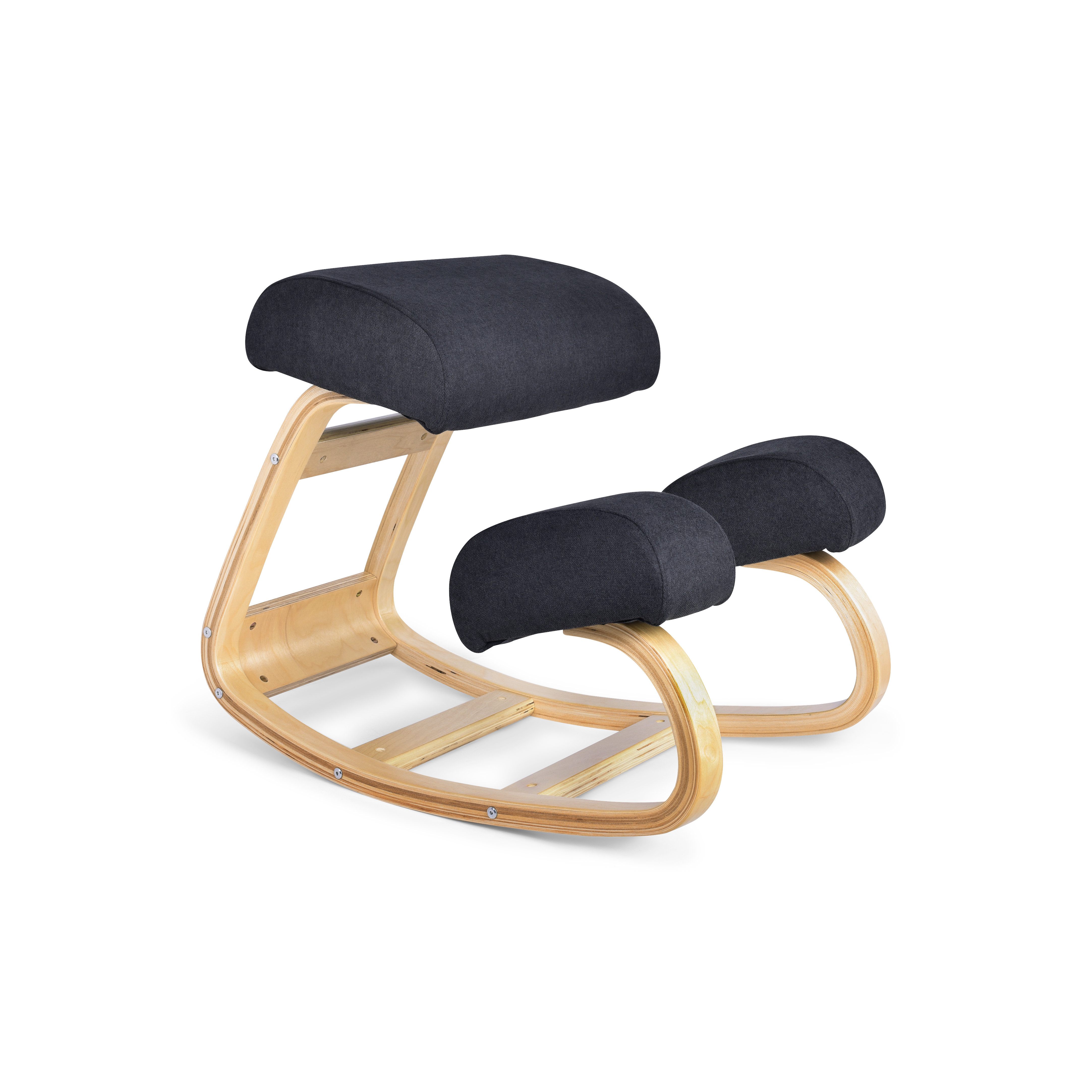 Luxton Home Ergonomic Chair Work from Home Posture Chair with Extra