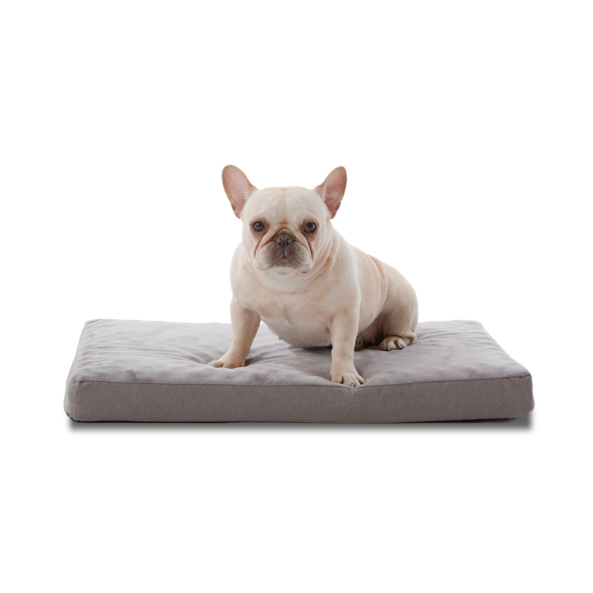 orthopedic dog bed washable cover