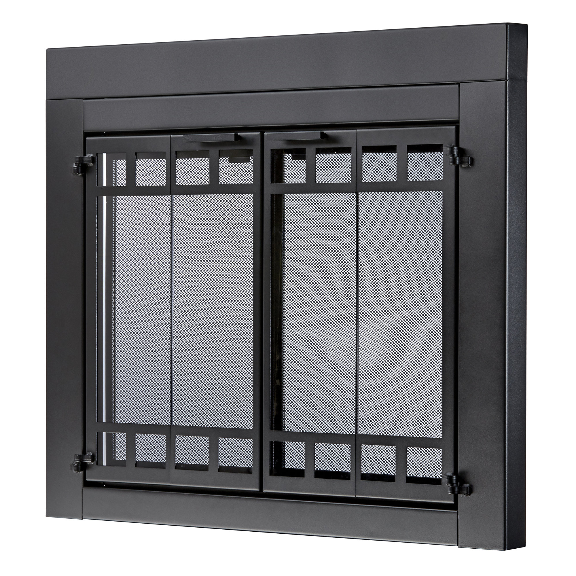 Uniflame Style Steel Fireplace Door Wayfair