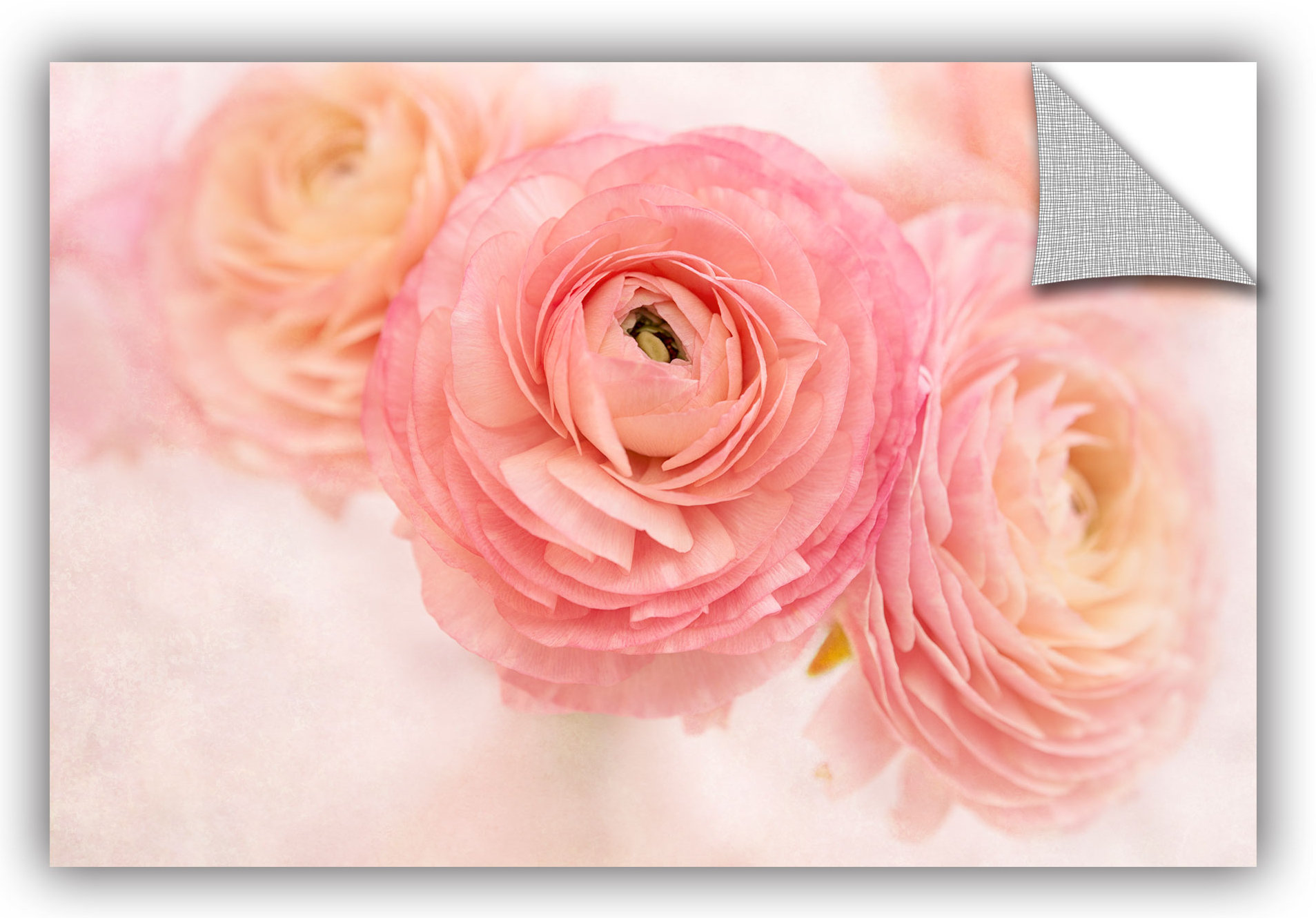 Winston Porter Photograph on Artapeelz Wayfair