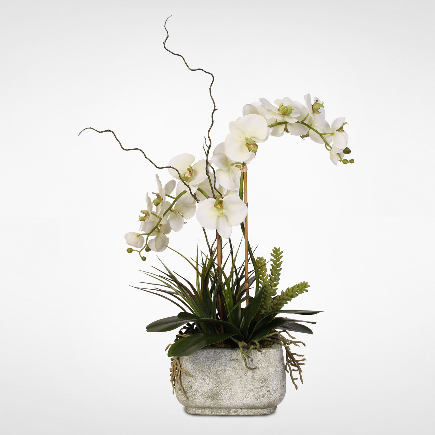 Williston Forge Phalaenopsis Silk Orchid with Succulents Floral ...
