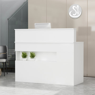 Lark Manor Adhamh 2-Drawer Wooden Reception Desk With Light In White
