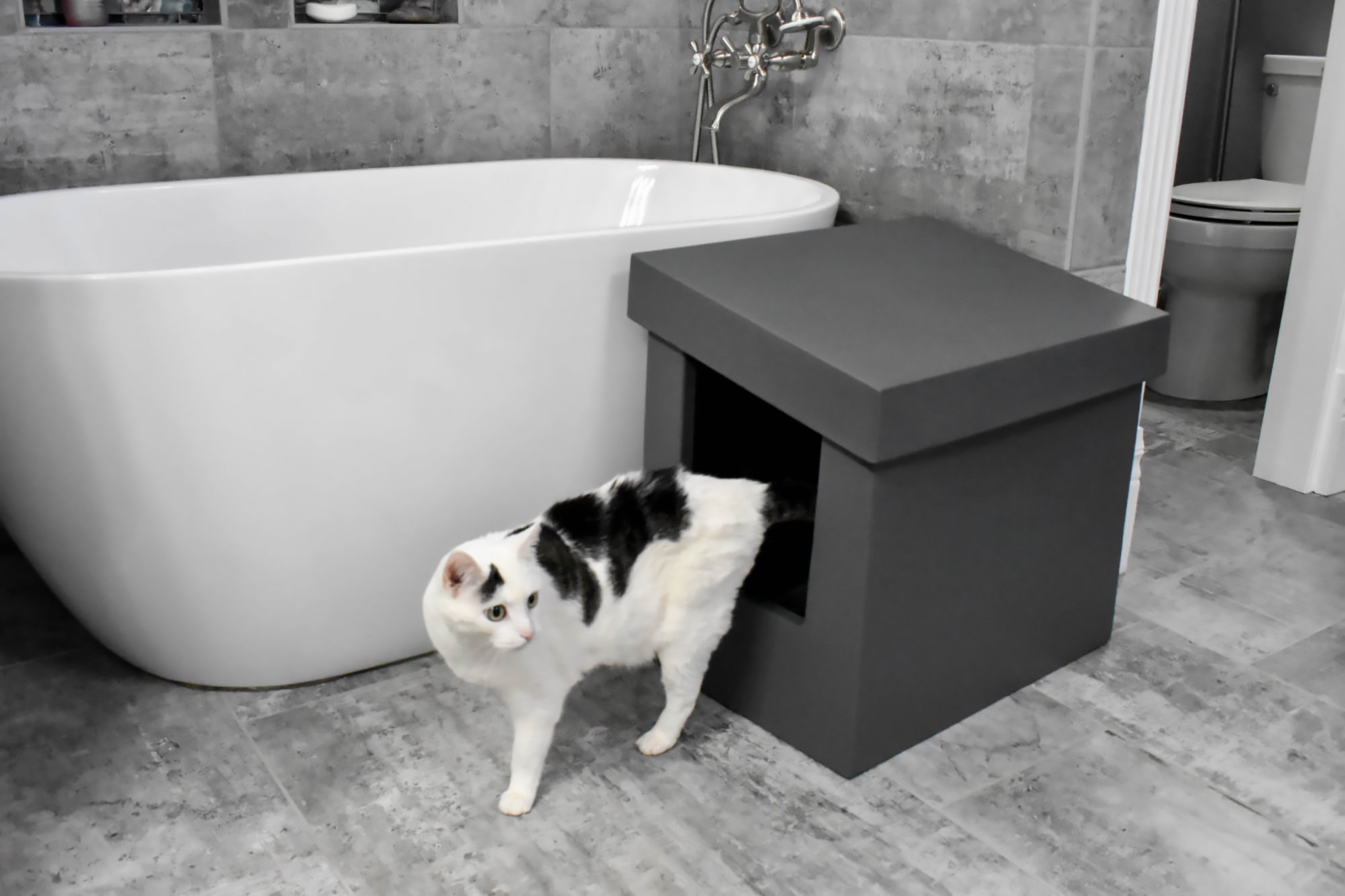 Kitangle, LLC Sloped Standard Litter Box & Reviews Wayfair