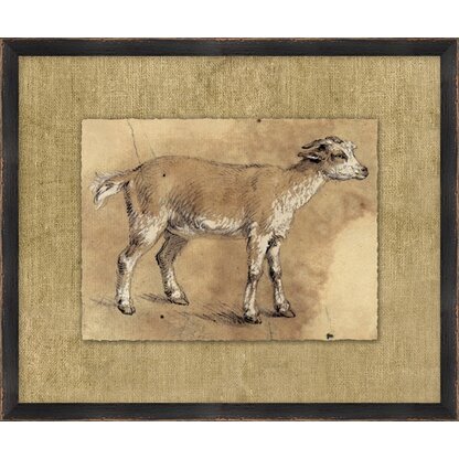Wendover Art Group Charcoal Animal Collection 2 - Picture Frame Painting on  Paper | Perigold