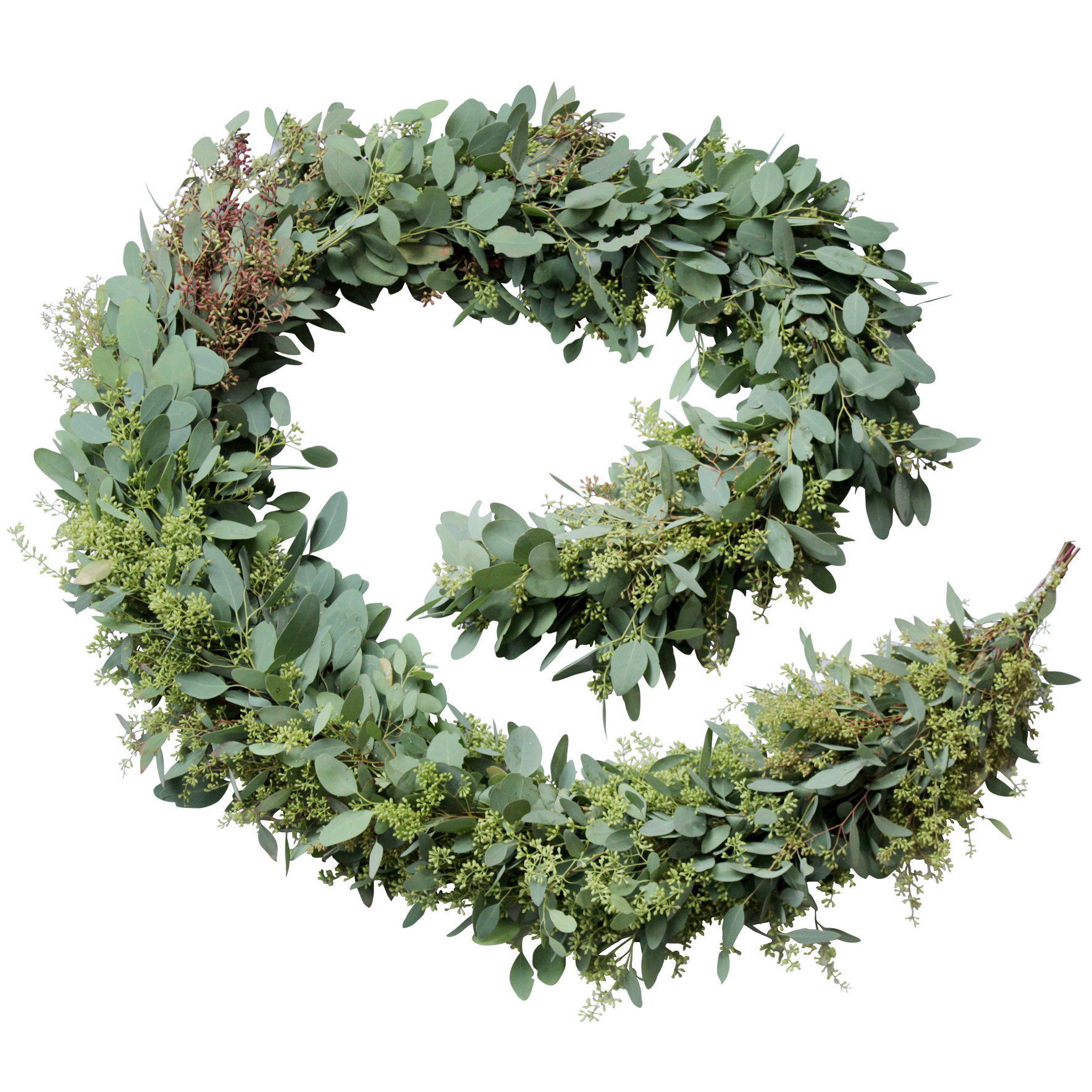 Primrue 6'' in. Fresh Eucalyptus Garland Wayfair