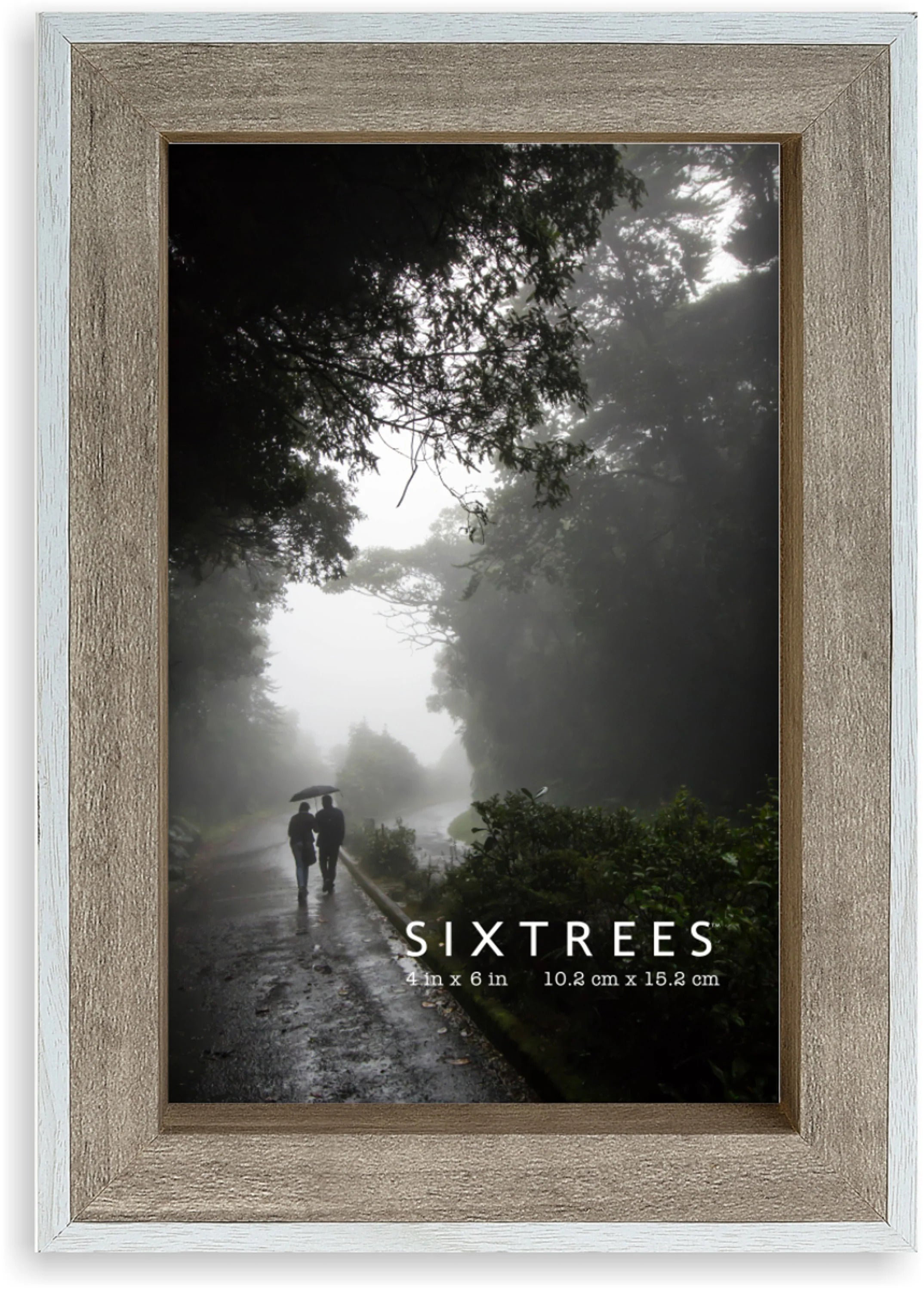 Sixtrees USA Ltd. Picture Frame Wayfair