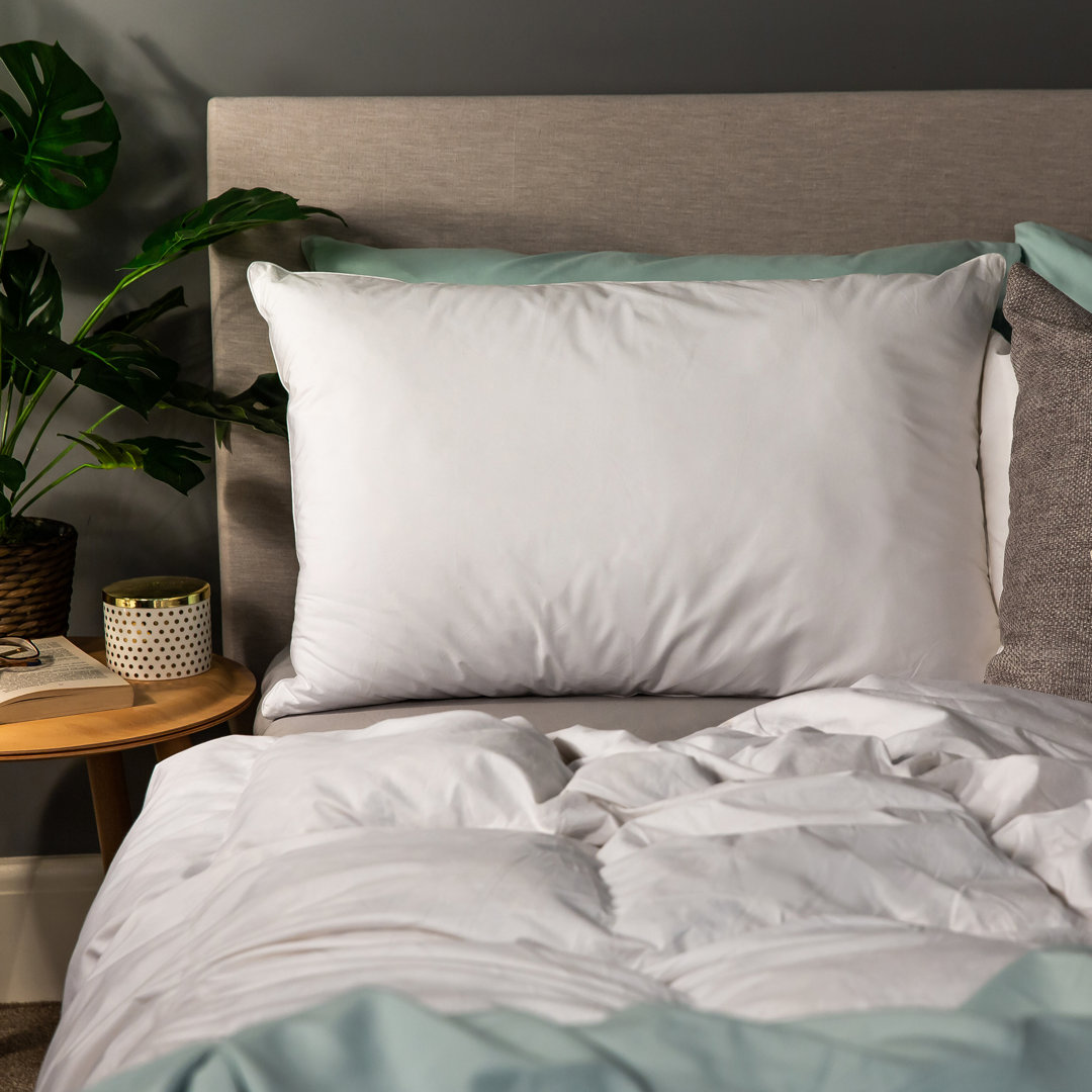 Snuggledown  Freshwash Anti Allergy Bettdecke & 2 Kopfkissen - 10.5 Tog