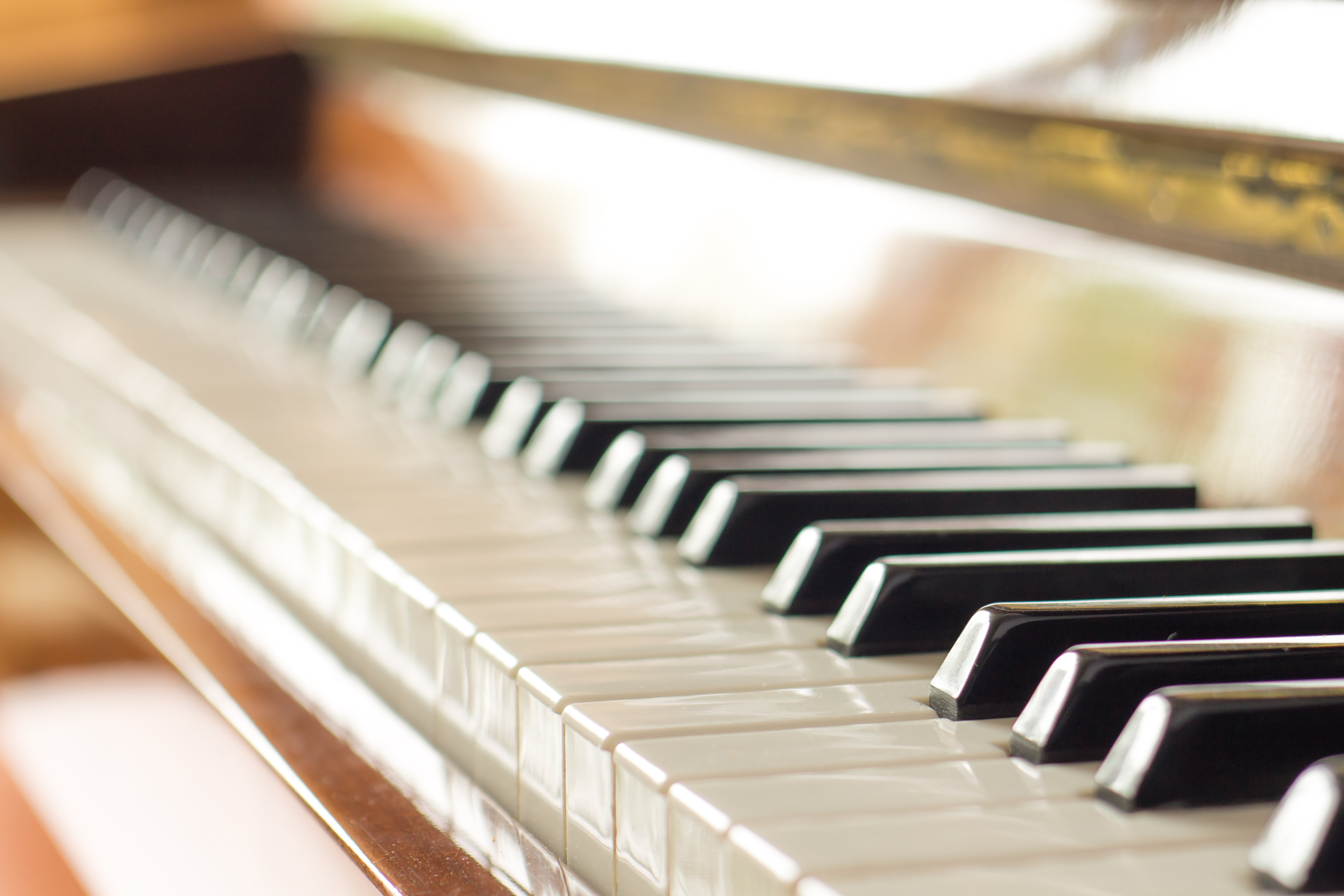 Ebern Designs Keyboard Of Piano Wrapped Canvas Photograph Wayfair