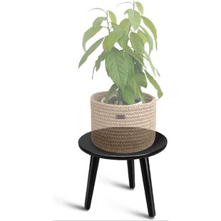 Uneedem Wood Mid Century Plant Stand for Indoor Plants Gold Small Round Side Table End Table Indoor Plant Stand 8.9 Tall Plant Holder for Flower Pots Modern Plant Table 