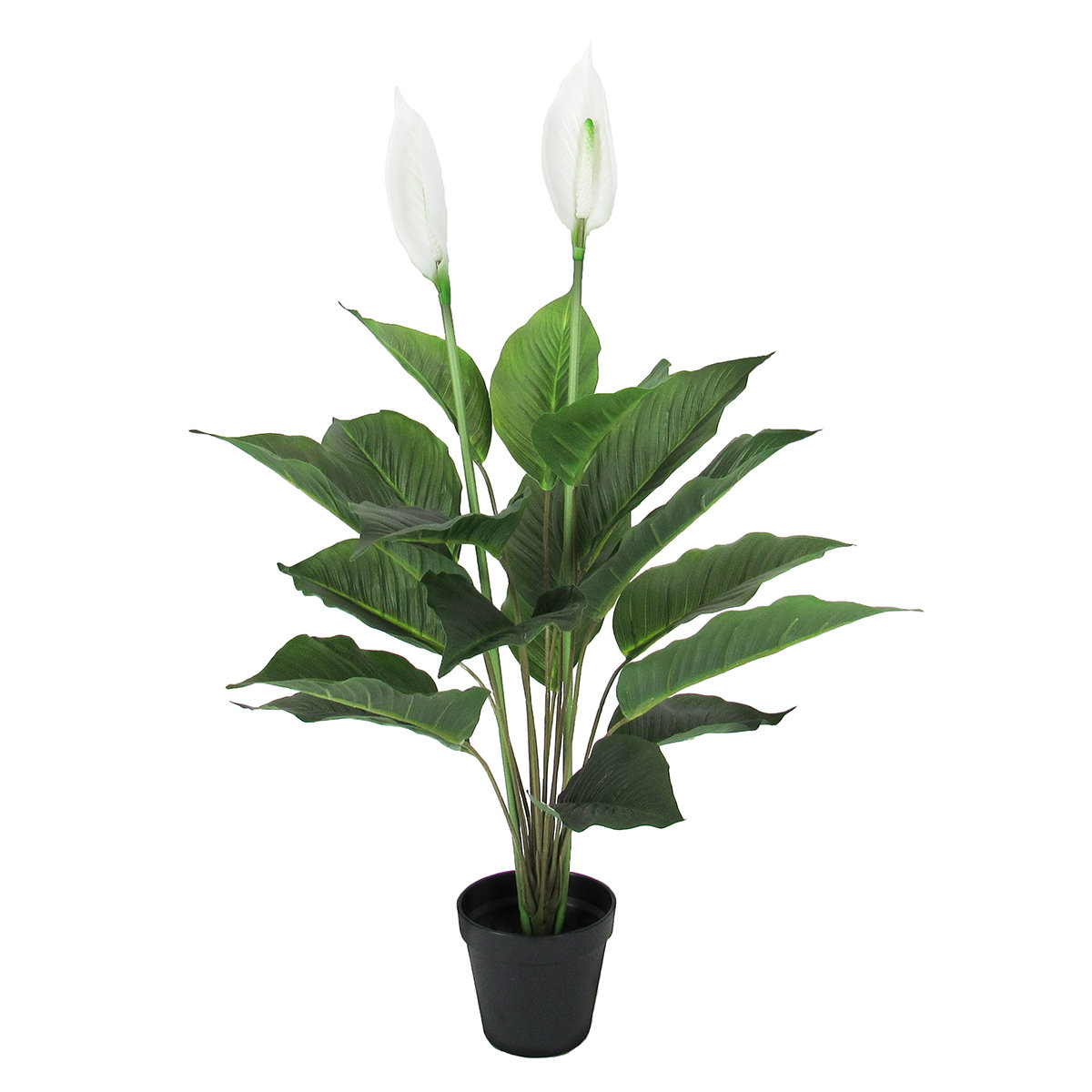 Primrue Artificial Peace Lily Plant in Pot Wayfair