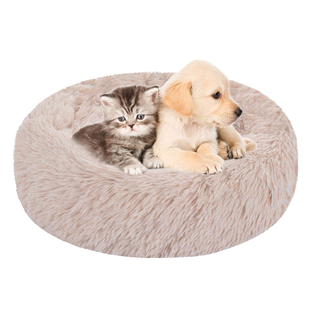 Archie & Oscar Katzenbett Fresnel