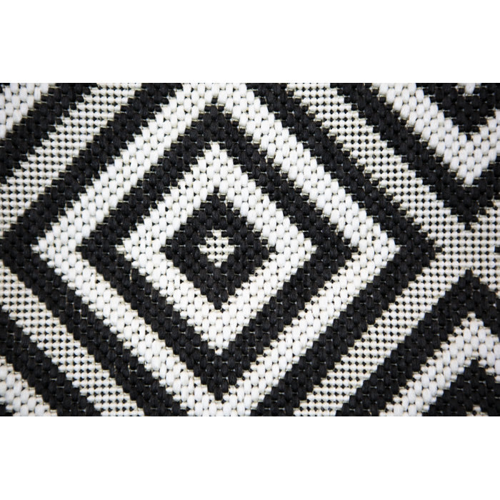 Wrought Studio Ammons Black/White Indoor/Outdoor Rug & Reviews | Wayfair