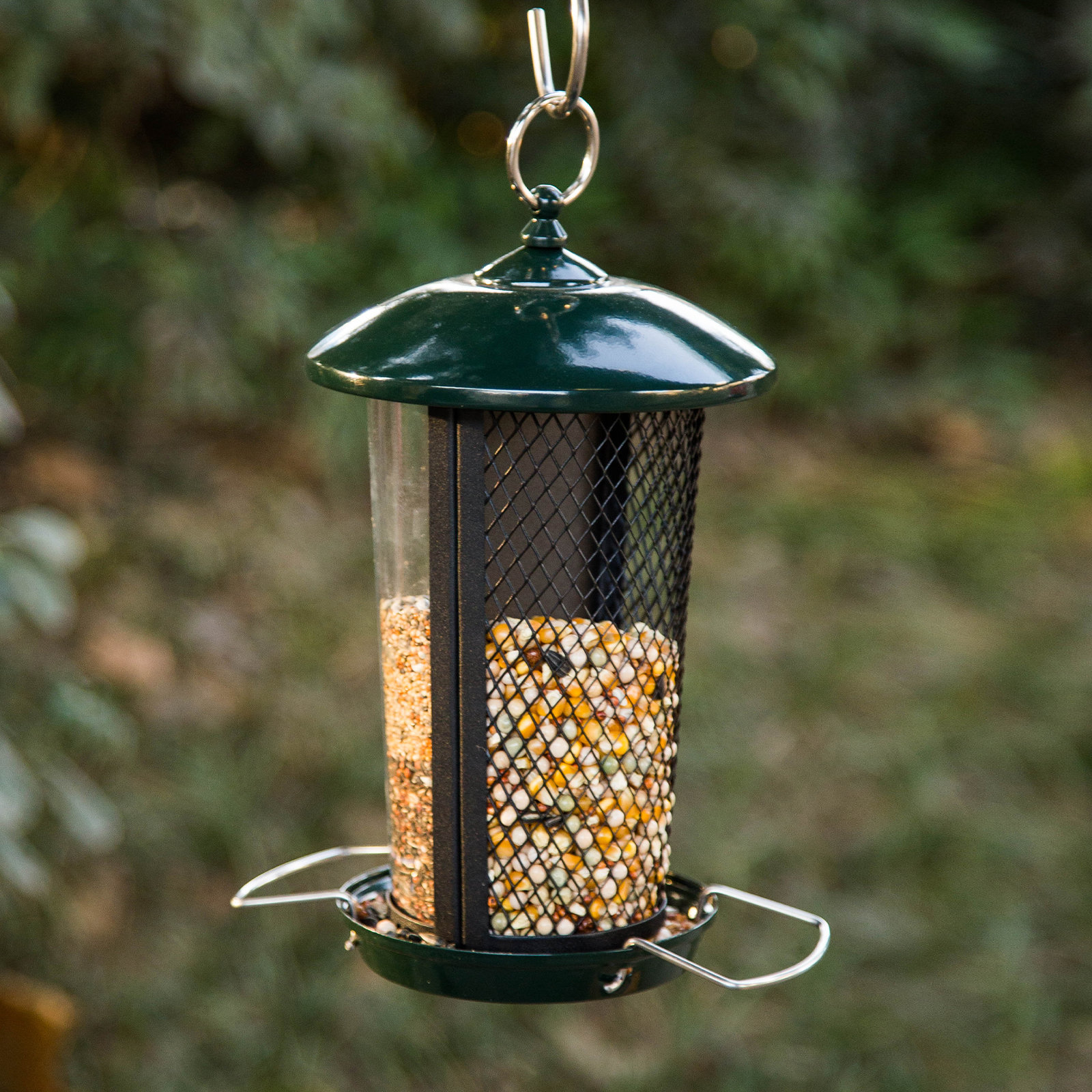 Kingsyard Hanging Hopper Bird Feeder & Reviews Wayfair
