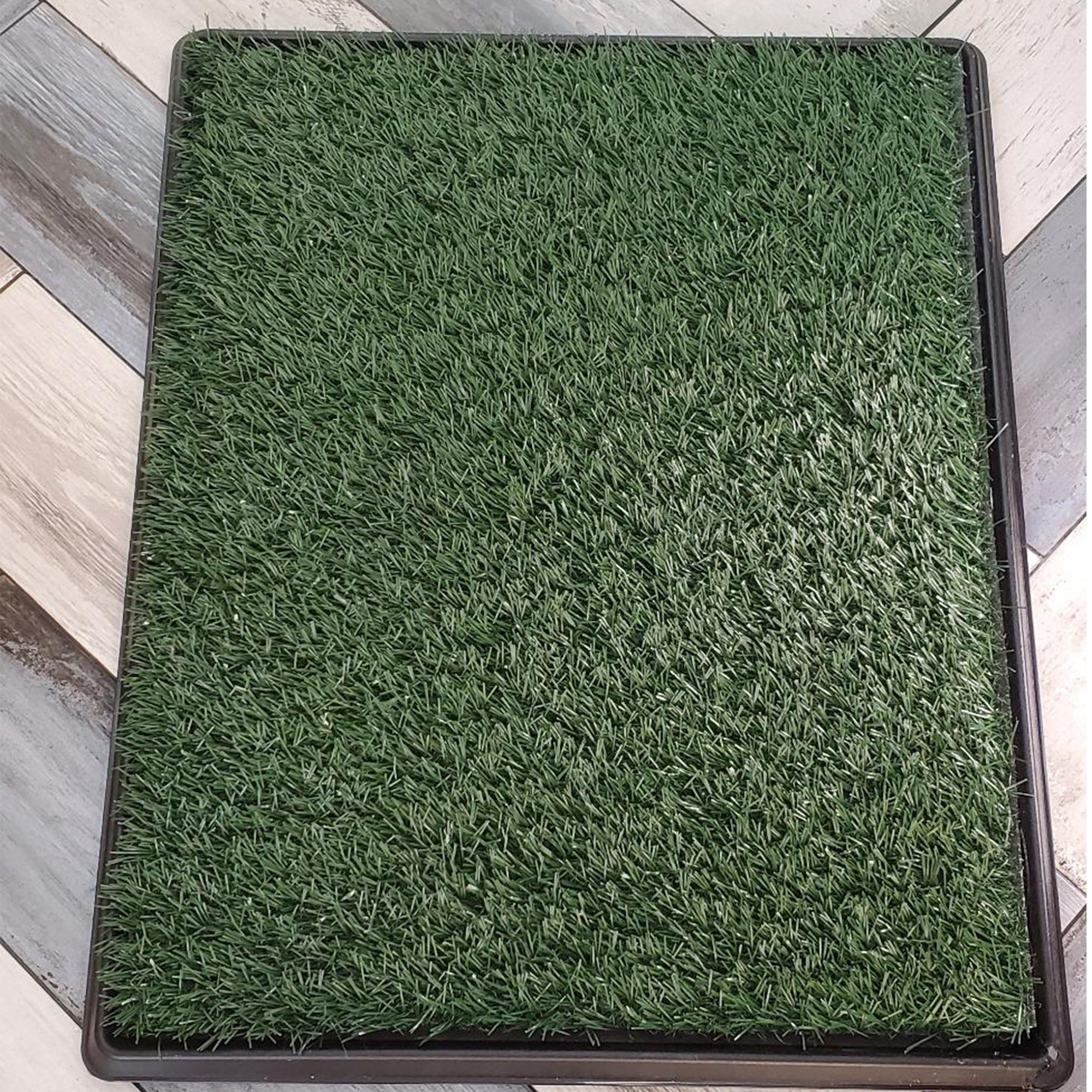 Tucker Murphy Pet™ Chamroeun 30X20 Inch Fake Grass Pee For Dog